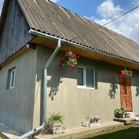 Біля Саду ボロヴェッツ エクステリア 写真